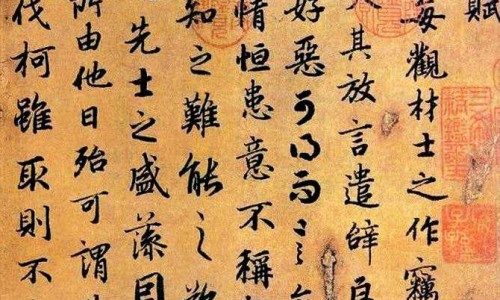 有一种叫什么仲的药-仲骨胶囊功效网 :分享仲药膏的功效与作用-仲药膏的功效与作用知识